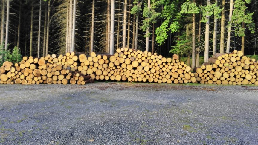Prodej dřeva z městských lesů Nové Městě na Moravě – srpen 2017