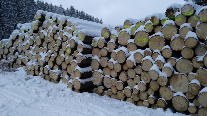 Poptávkové řízení na prodej dřevní hmoty z nahodilé těžby z městských lesů v lokalitách Petrovice a les Ochoza (U Huberta) – leden 2018