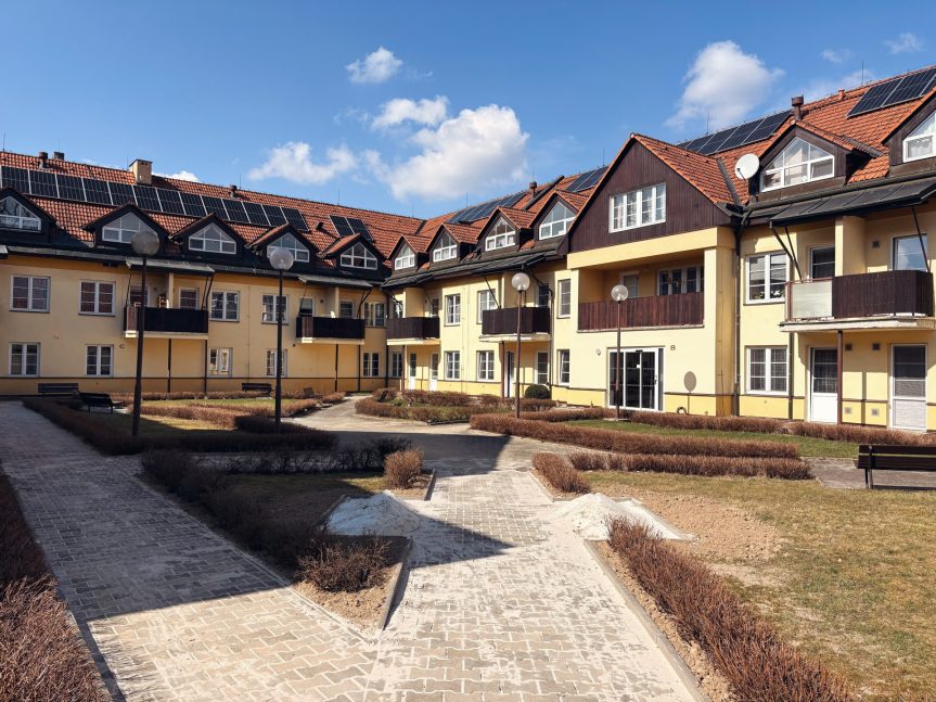 Výběrové řízení na vedoucí pracovní místo ředitele/ředitelky Novoměstkých sociálních služeb a Centra ZDISLAVY.